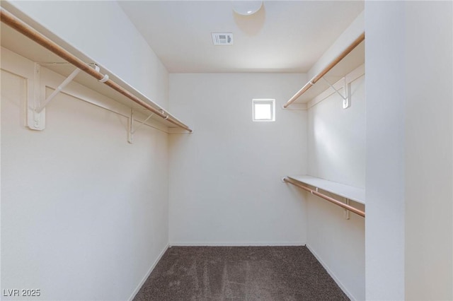 spacious closet with carpet flooring and visible vents