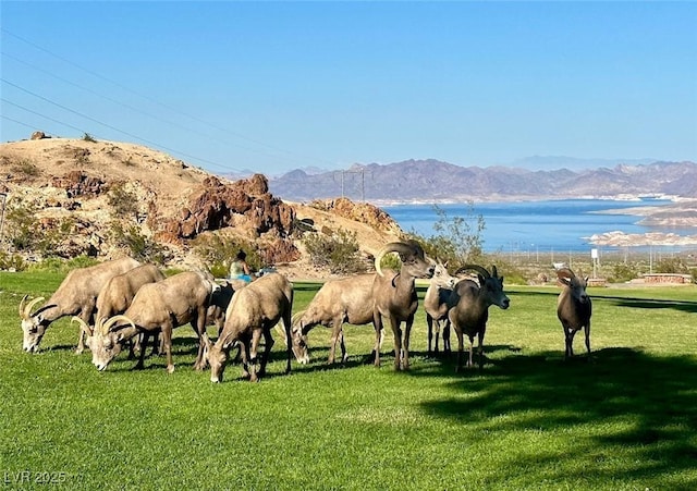 view of home's community featuring a yard and a mountain view