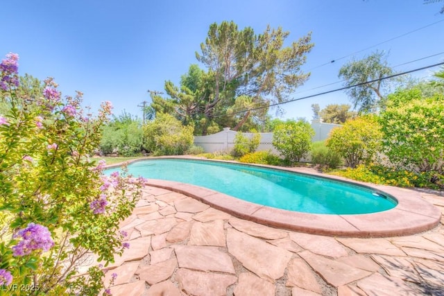 view of pool featuring a fenced backyard, a fenced in pool, and a patio