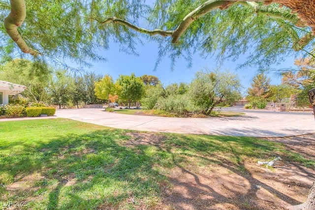 view of yard with concrete driveway