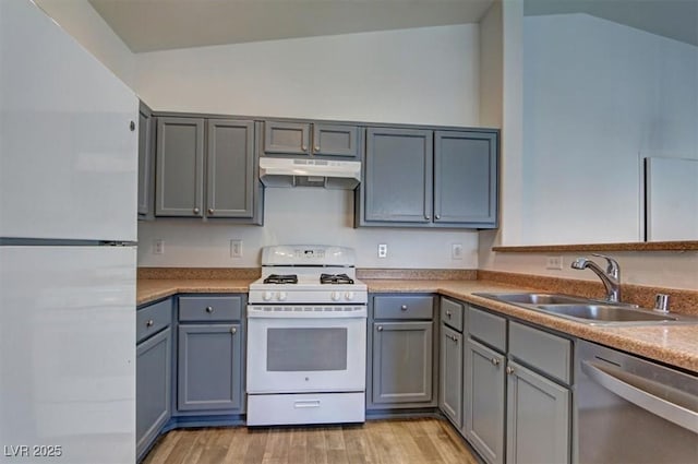 kitchen with gray cabinetry, a sink, light wood-type flooring, white appliances, and under cabinet range hood