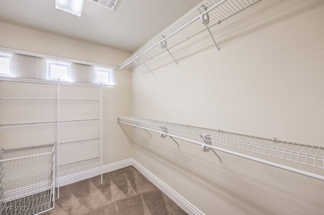 1332 Cedar Berry Ct, Henderson, NV 89012 - spacious closet with carpet flooring