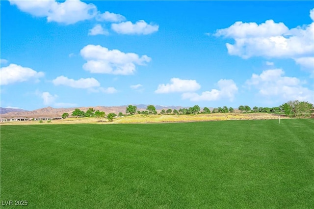 view of yard featuring a rural view and a mountain view