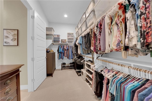 walk in closet featuring carpet floors