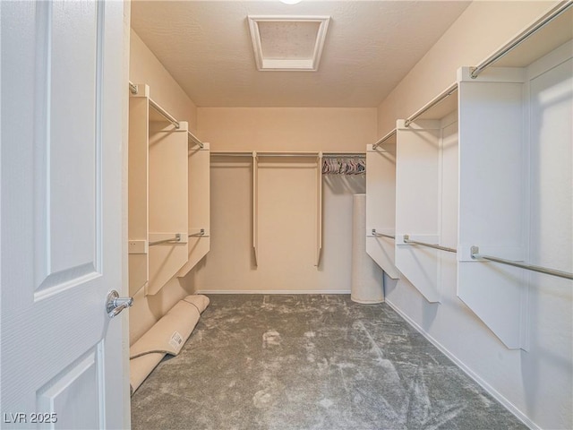 spacious closet with carpet