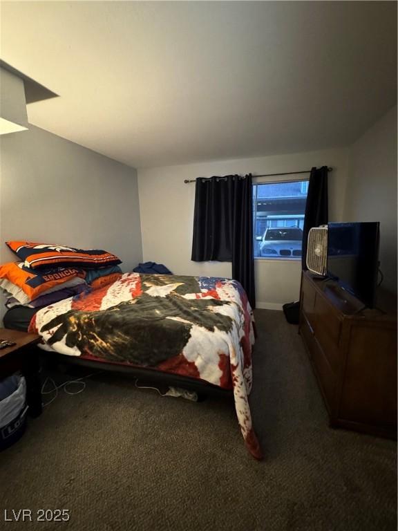 bedroom with carpet floors