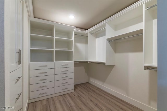 spacious closet with light wood-style floors