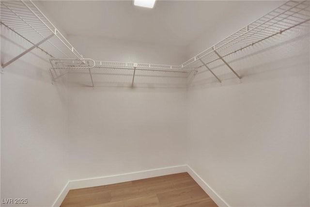 walk in closet with light wood-style flooring