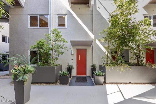 view of exterior entry with stucco siding