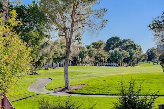 view of property's community with a yard