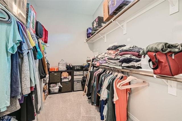 walk in closet featuring carpet flooring