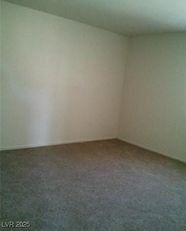 spare room with carpet