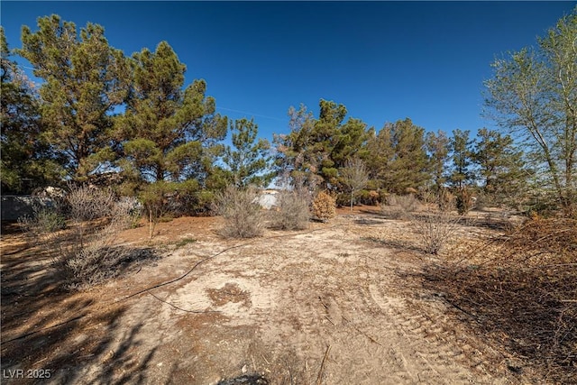 view of local wilderness