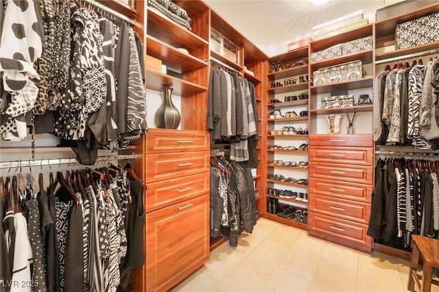 view of spacious closet