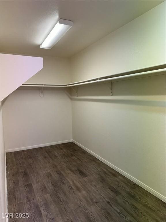 walk in closet with dark wood-type flooring