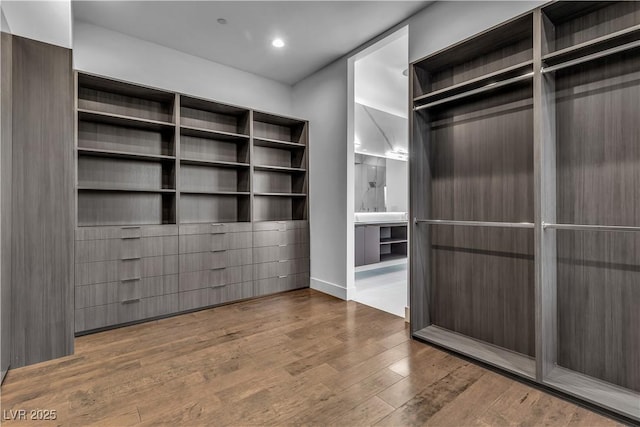 spacious closet featuring hardwood / wood-style flooring