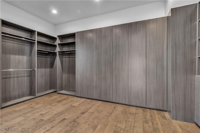 spacious closet with light wood-type flooring