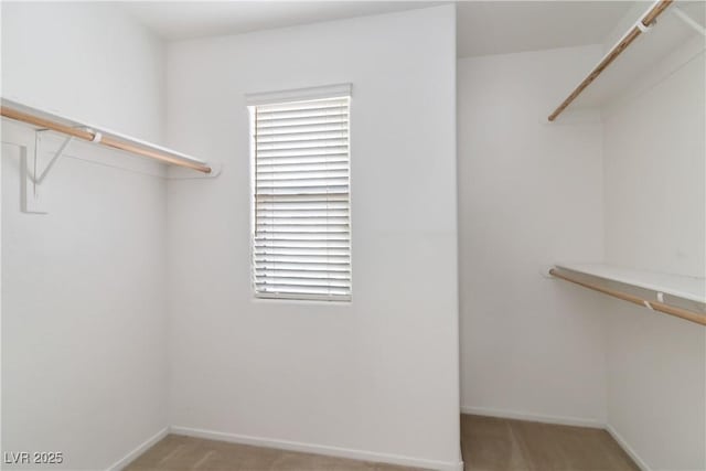 spacious closet featuring light colored carpet