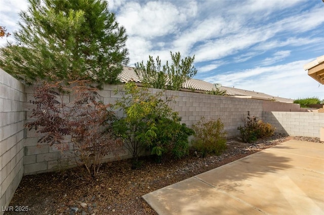 view of yard with a fenced backyard and a patio