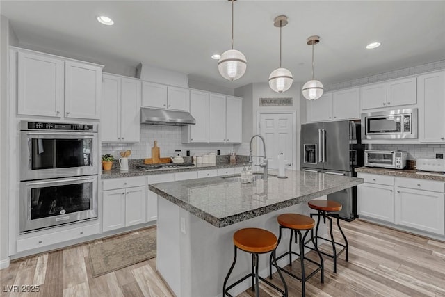 kitchen with under cabinet range hood, light wood-style flooring, stainless steel appliances, and a sink