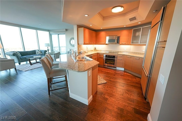 kitchen featuring stainless steel appliances, a peninsula, a sink, dark wood finished floors, and a raised ceiling