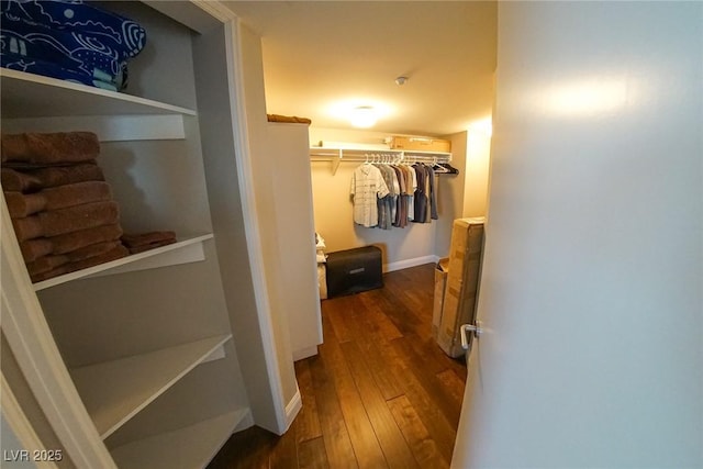 spacious closet featuring dark wood-type flooring