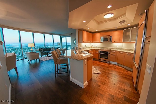 kitchen with a peninsula, dark wood-style flooring, a sink, appliances with stainless steel finishes, and floor to ceiling windows