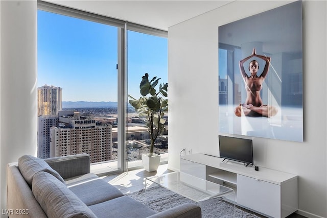 living room featuring a city view, a wall of windows, and baseboards