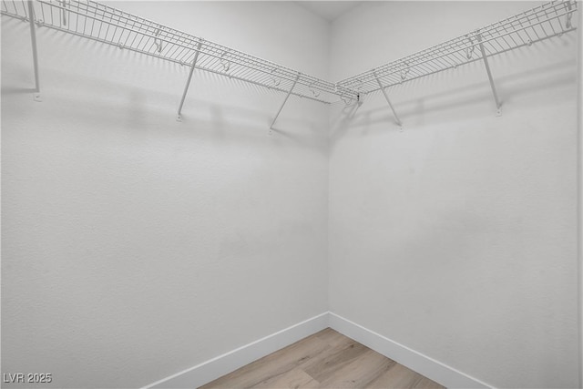 spacious closet featuring light wood-type flooring