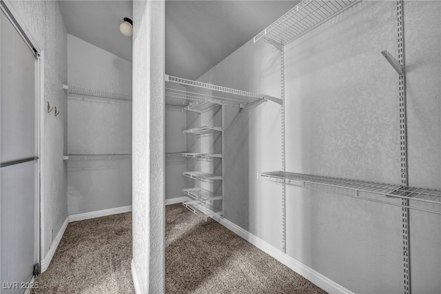 walk in closet featuring carpet