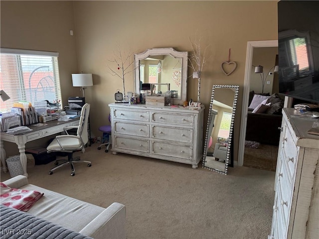 office featuring plenty of natural light and light colored carpet