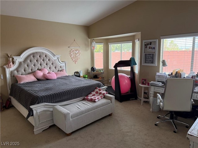 bedroom with lofted ceiling and carpet flooring