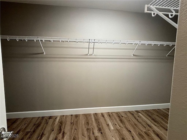 walk in closet featuring wood finished floors