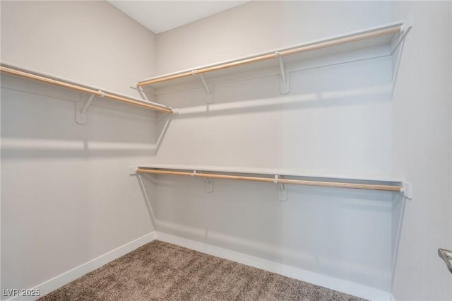 walk in closet with carpet