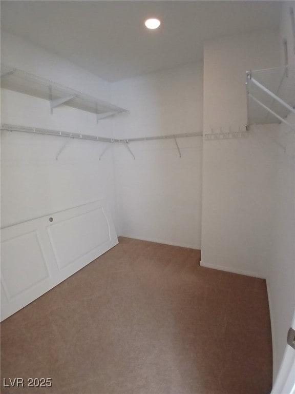 walk in closet with carpet floors