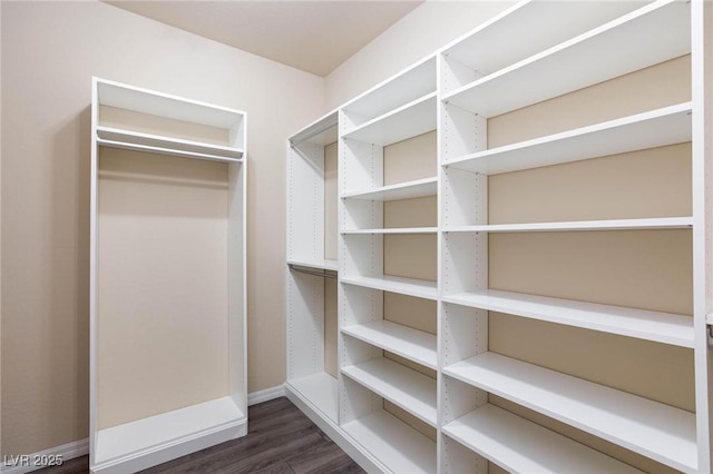 walk in closet featuring dark wood finished floors