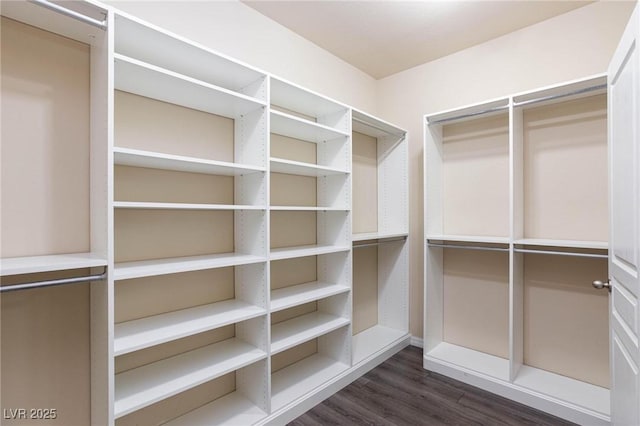 spacious closet featuring dark wood-type flooring