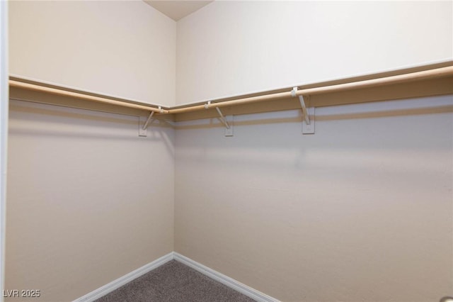 walk in closet with carpet