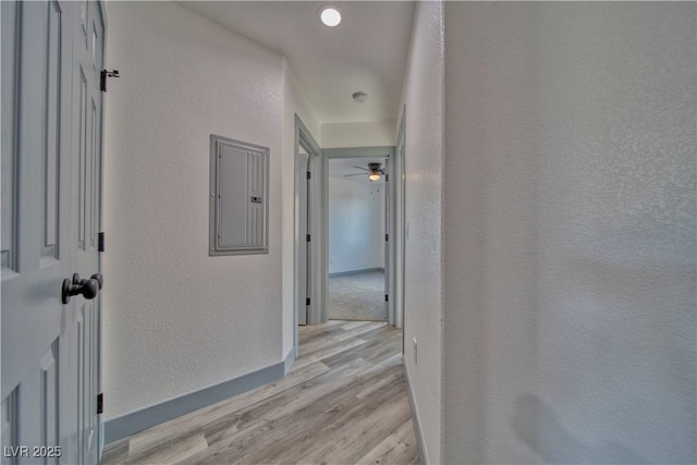 hall with electric panel, a textured wall, light wood-style flooring, and baseboards