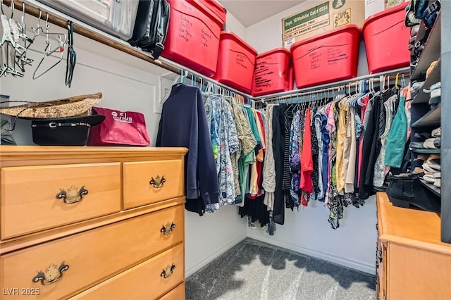 walk in closet featuring carpet flooring