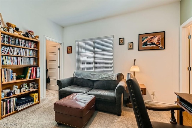 interior space with carpet flooring