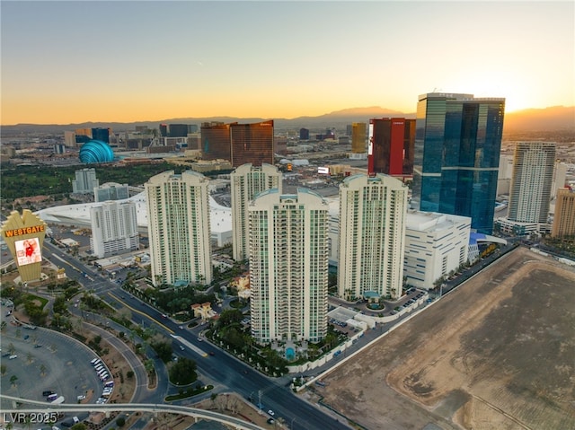 drone / aerial view with a city view