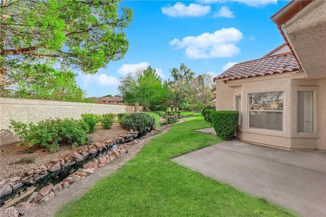 view of yard featuring a patio area