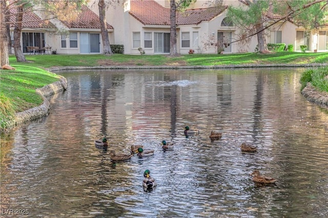 property view of water