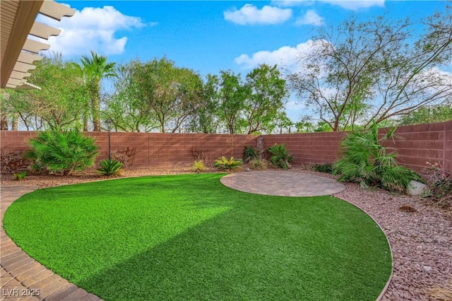 view of yard featuring a patio area and a fenced backyard