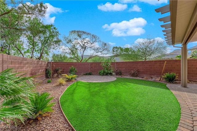 view of yard with a patio area and a fenced backyard