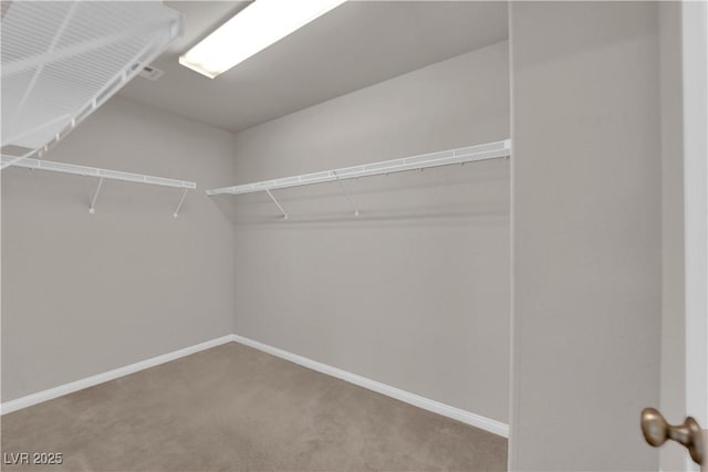 spacious closet with carpet floors