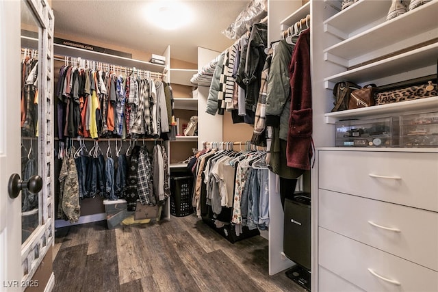 walk in closet featuring wood finished floors