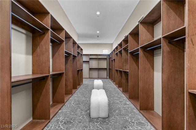 view of spacious closet