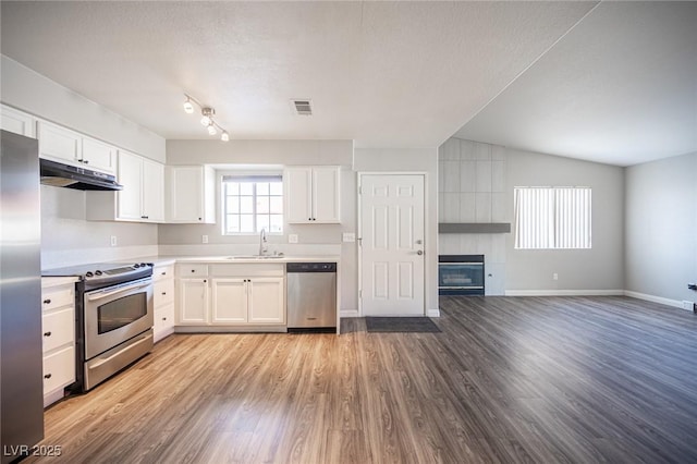 kitchen featuring visible vents, appliances with stainless steel finishes, a sink, wood finished floors, and under cabinet range hood